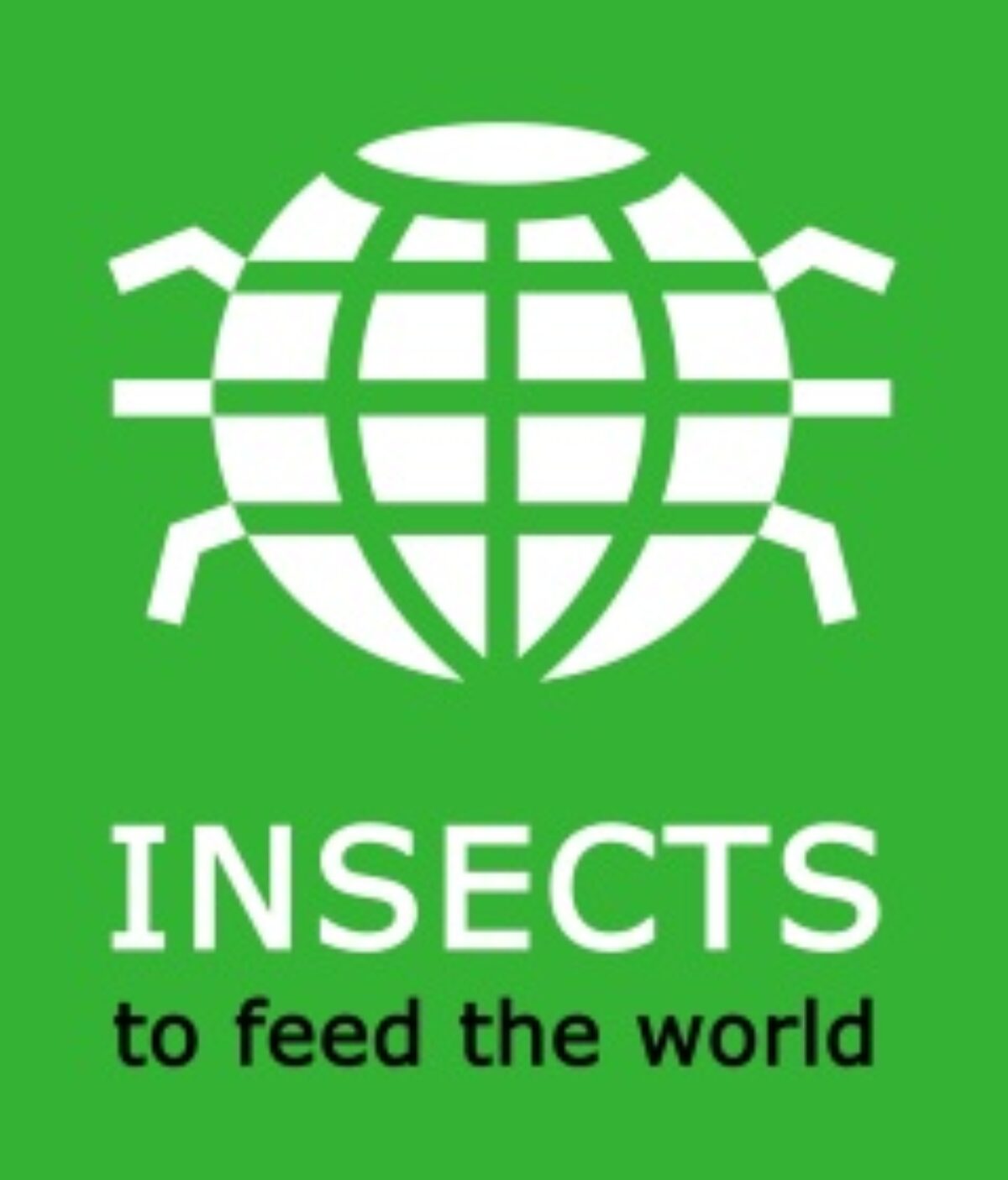 Insects to feed the world