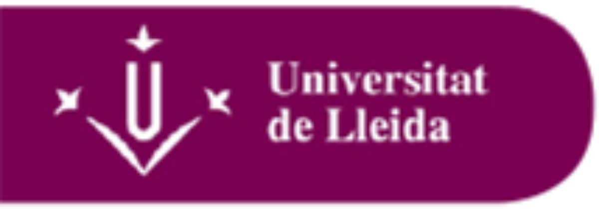 logo udl