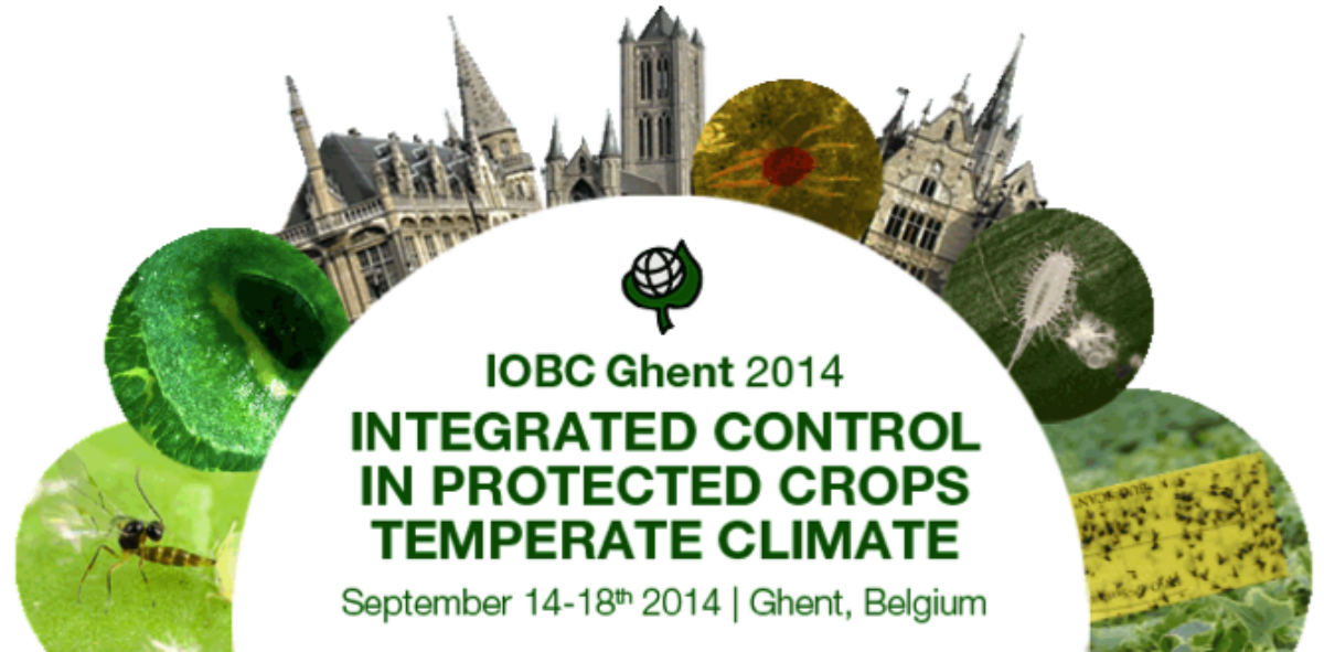 IOBC GHENT 2014