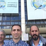 XXV ICE 2016